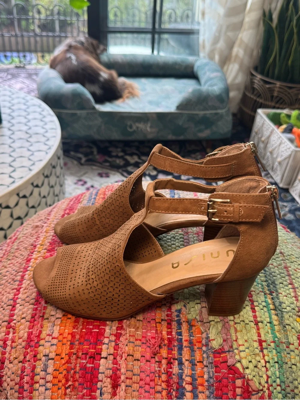 🟤🤎 Unisa Brown Perforated T-Strap Block Heel Sandals 🤎🟤